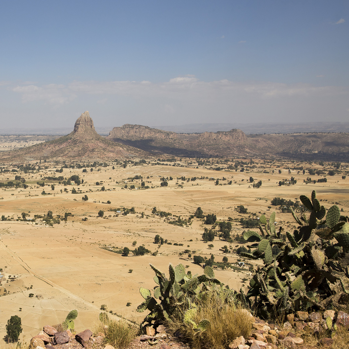 etiopia14ottobre2026 2