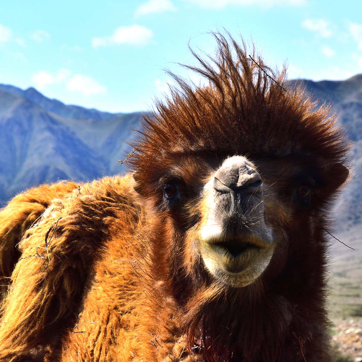 kirghizistan30ago2026 2