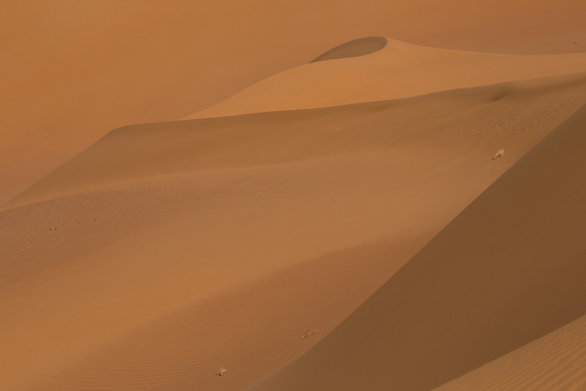 Gallery Thumb