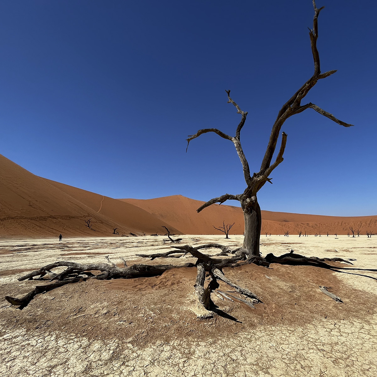 namibia13Agosto2025 1