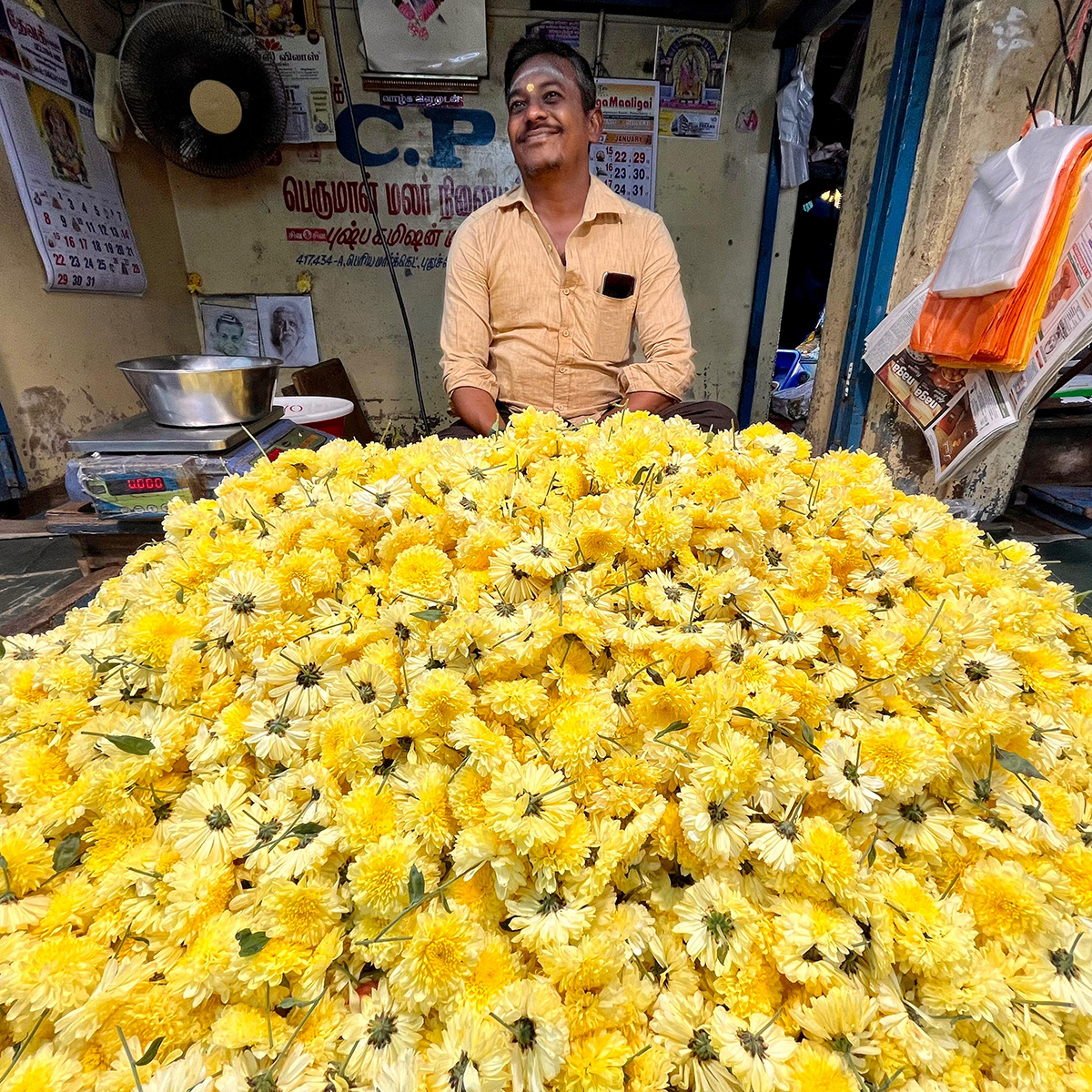 rajastan14agosto2026 1