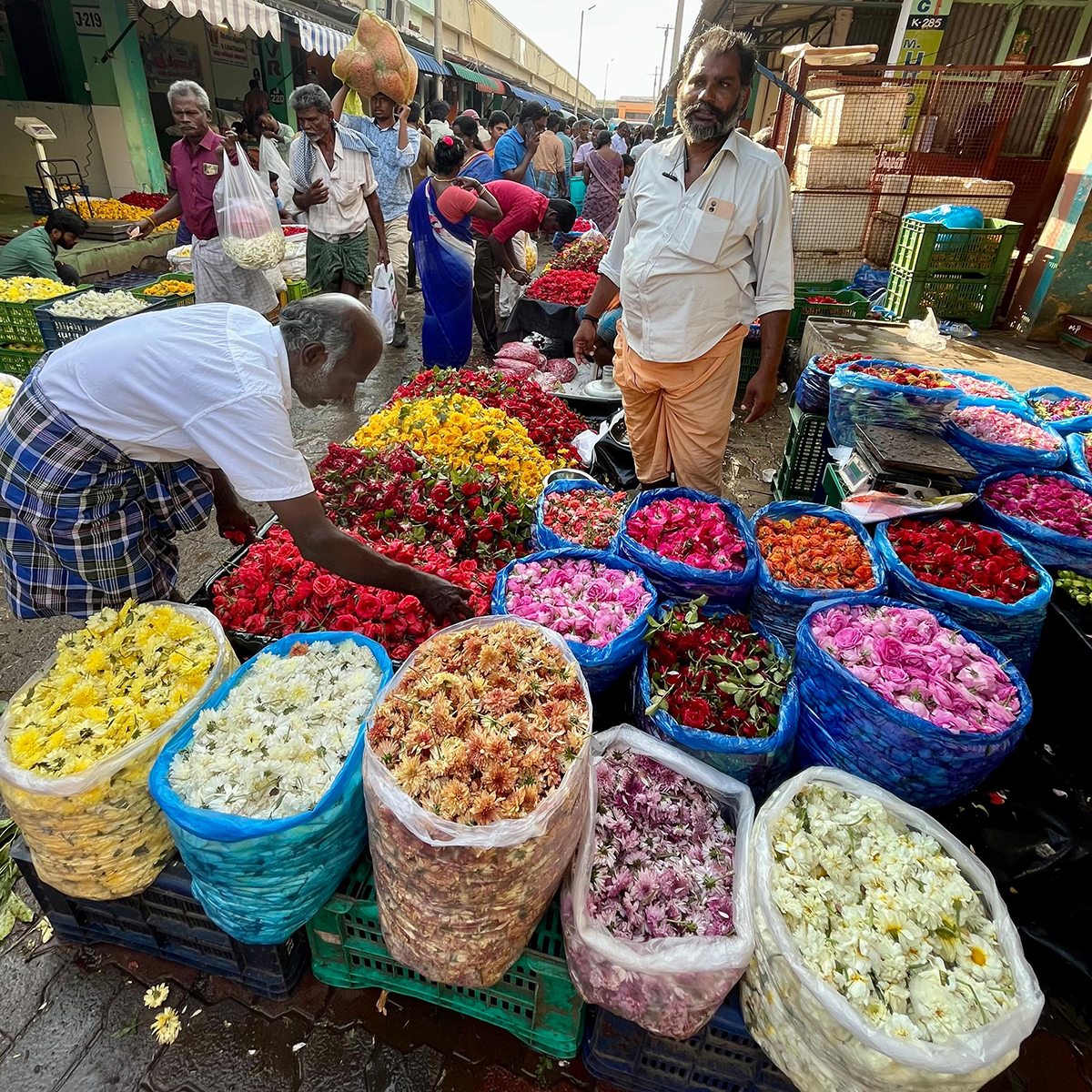 rajastan14agosto2026 2