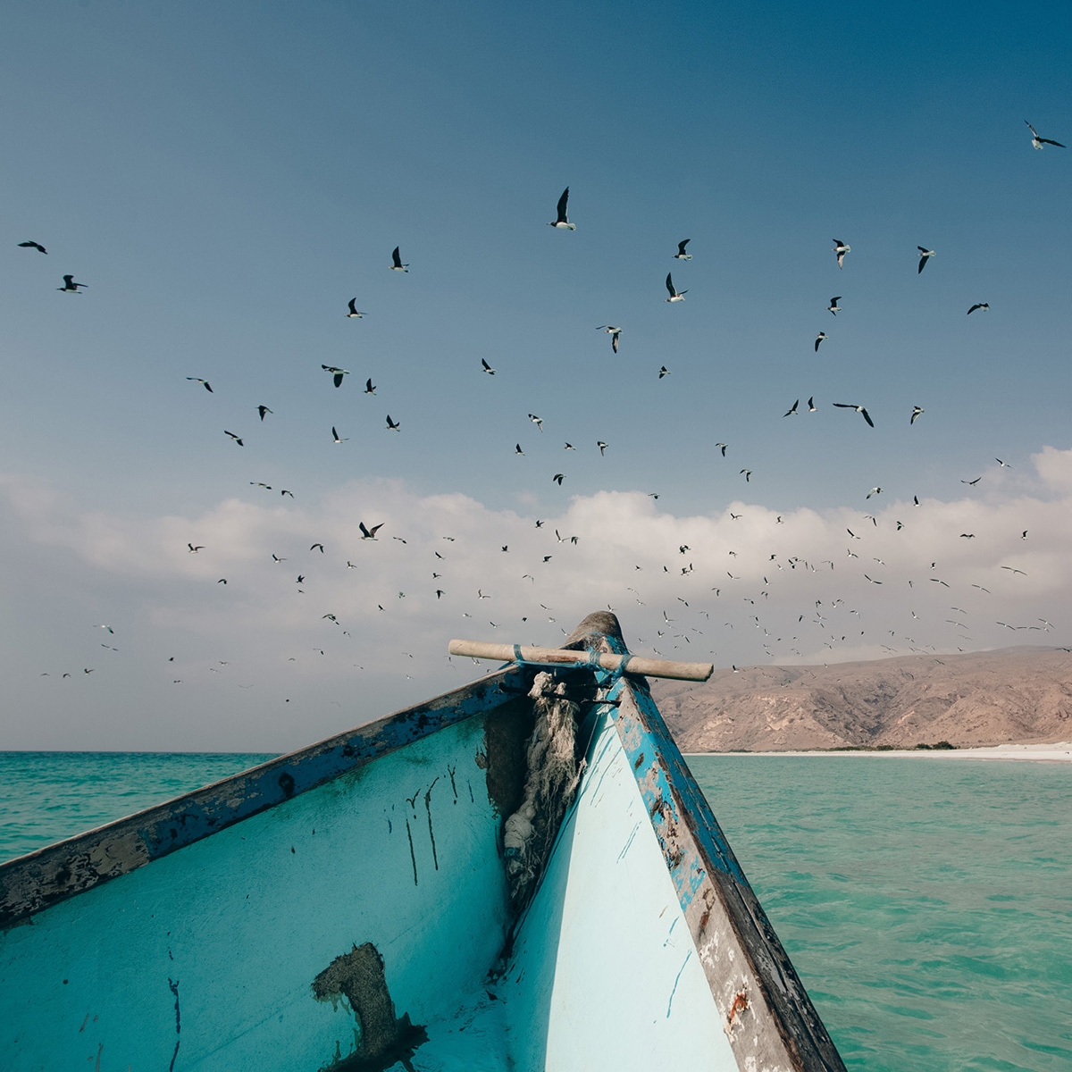 socotra10Marzo2025