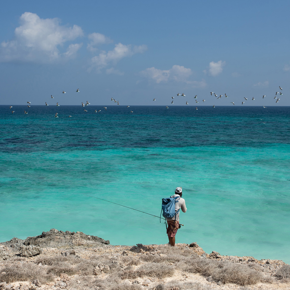 socotra10Marzo2025 1