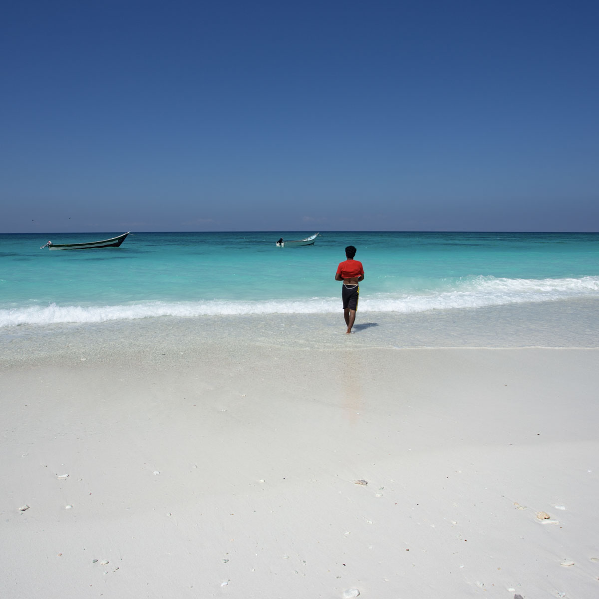 socotra3Marzo2025 3