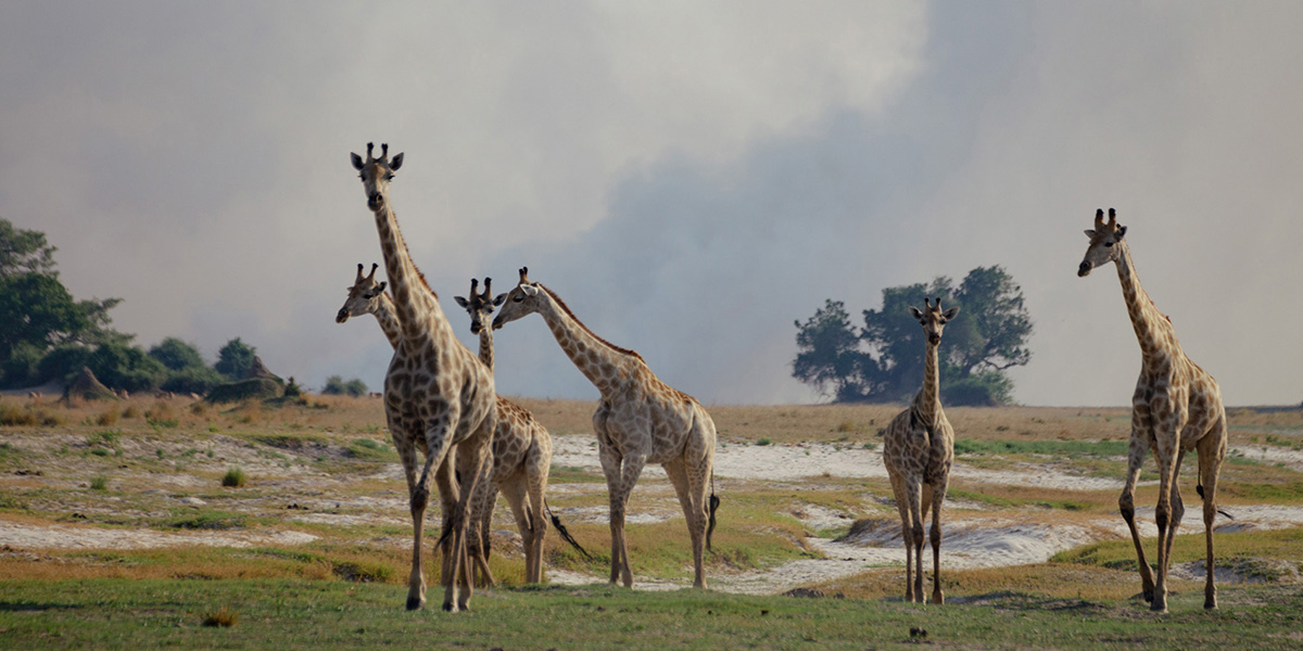 TANZANIA anima dell'Africa
